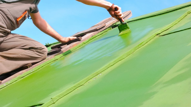 屋根塗装をdiyでやるなら注意が必要 ペンキ塗りを自分でやる際の費用 塗料 安全対策